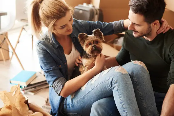 A Importância da Acupuntura na Saúde Mental e Comportamental dos Animais