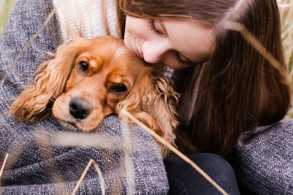 Acupuntura em Animais: O Que Esperar Durante uma Sessão e Como Preparar seu Pet